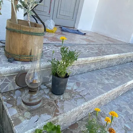 Roza's Πανσιόν *