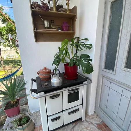 Πανσιόν Roza's *