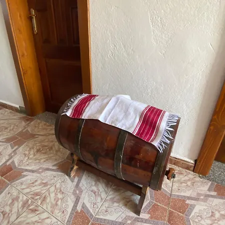 Πανσιόν Roza's Σκόδρα