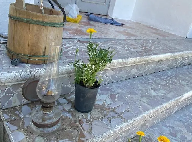 Roza's Vendégház *