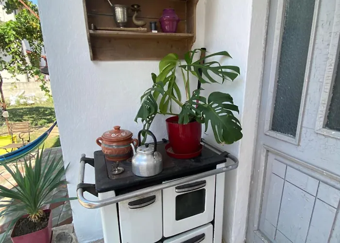 בית הארחה Roza's *