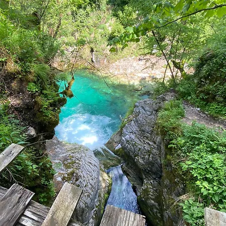 Affittacamere Roza's Shkodër