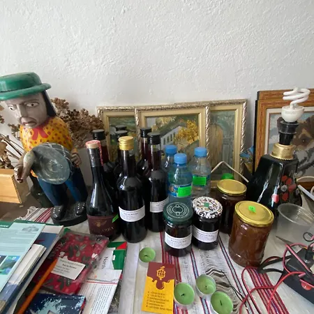 Pensión Roza's Shkodër