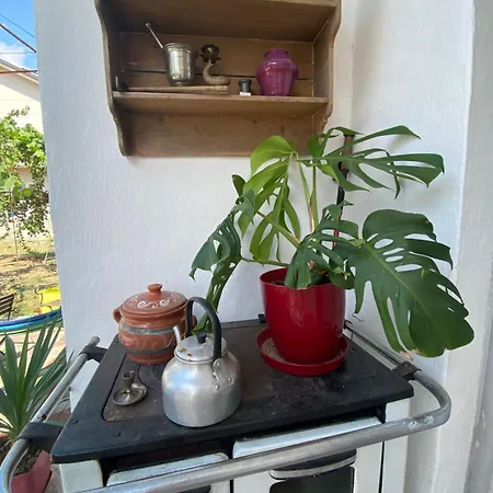 Roza's Affittacamere Shkodër