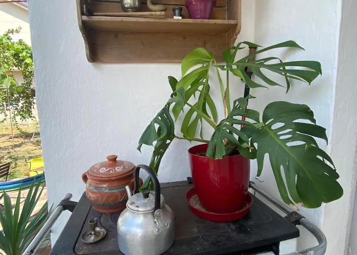 Roza's Casa de hóspedes Shkodër